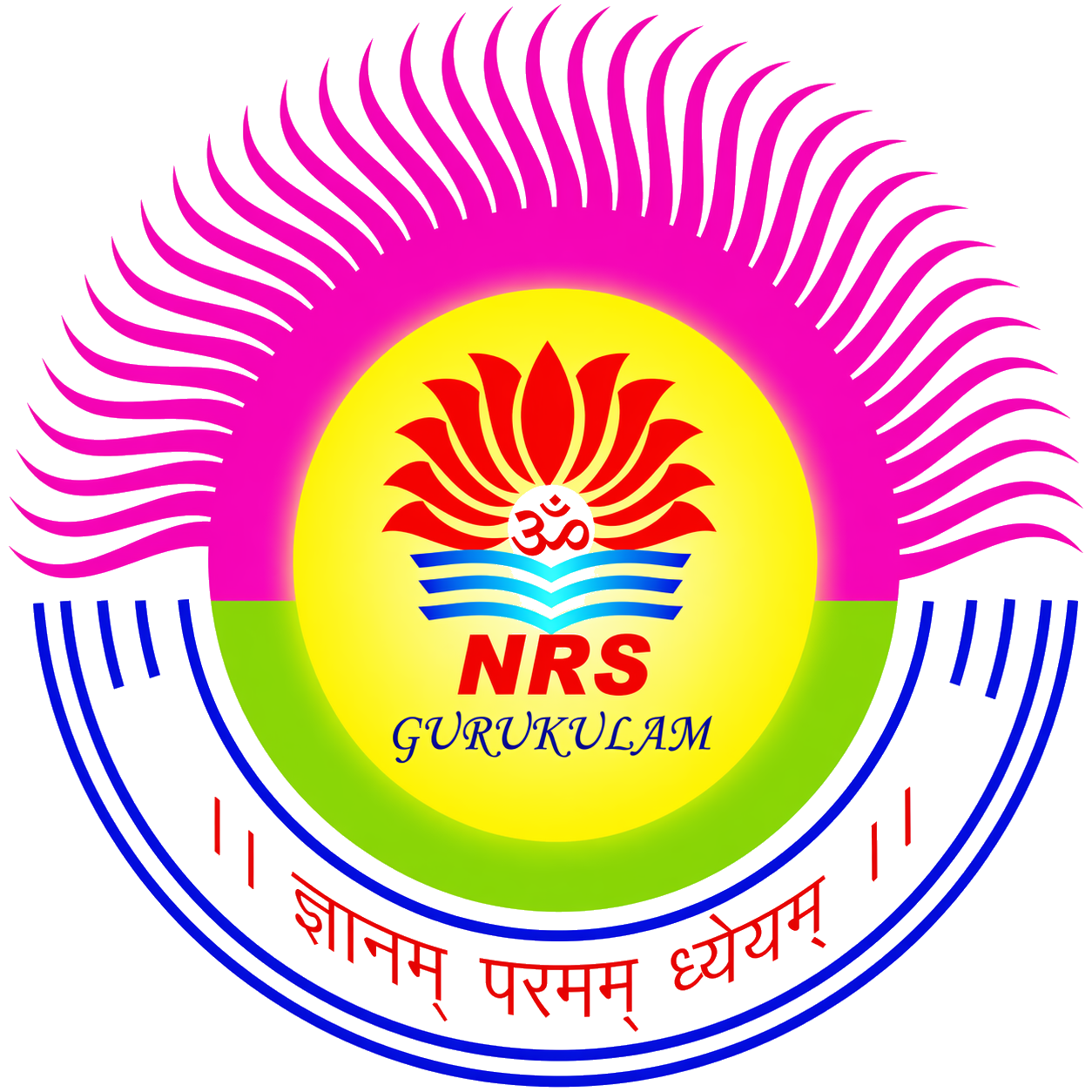 NRS International School Logo